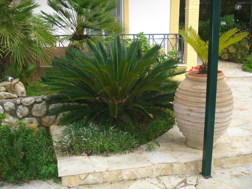 Iron House Agios Georgios (Corfu) Exterior foto