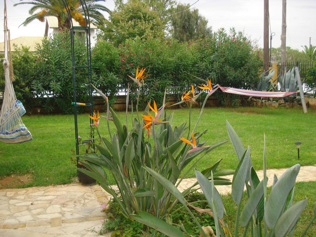 Iron House Agios Georgios (Corfu) Exterior foto